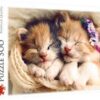 Explore the best puzzle in our collection Sleeping Kittens Puzzle (5900511372717)