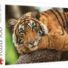 Explore the best puzzle in our collection Tiger Portrait 500 piece jigsaw puzzle (5900511373974)