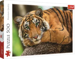 Explore the best puzzle in our collection Tiger Portrait 500 piece jigsaw puzzle (5900511373974)