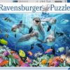 Explore the best puzzle in our collection Ravensburger  “Dolphins in the coral reef” – 500 pieces puzzle (4005556147106)