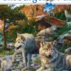 Explore the best puzzle in our collection Ravensburger Puzzle 1500 Piece Wolves In Spring (4005556165988)