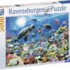 Explore the best puzzle in our collection Ravensburger – Beneath the Sea Puzzle 5000pc (4005556174263)