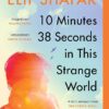 Explore the best English Book 10 Minutes 38 Seconds in this Strange World (9780241979464)