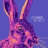 Explore the best English Book Cursed Bunny (9781916277182)