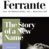 Explore the best English Book The Story of a New Name: youth (Neapolitan Quartet, 2) (9781787702233)