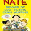 Big Nate 26