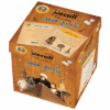 Recall – تاريخ مصر