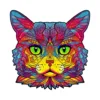 The MishMishya Cat