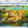 Lions in Savannah 500pc Puzzle