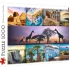 Trefl Africa 1000 Piece Collage Puzzle