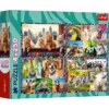 Trefl Funny Animals - 4 x 250 piece puzzle