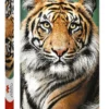 Trefl Jigsaw Puzzle 1500 Tiger Picture Frame