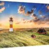 Trefl 1000 Piece Premium Plus Quality Photo Odyssey Puzzle