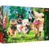 Trefl puzzle Jigsaw puzzle 1000 pc(s) Animals