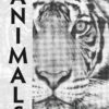 Reveal Art: Animals
