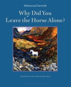 why-did-you-leave-the-horse-alone