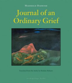 journal-of-an-ordinary-grief