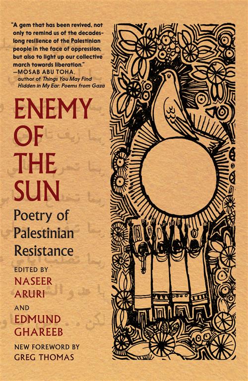 enemy-of-the-sun