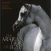 Arabian Horse of Egypt
