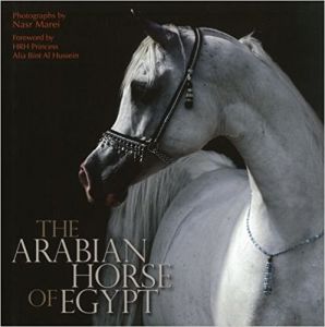 Arabian Horse of Egypt
