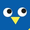 Hoot