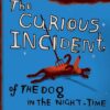 The Curious Incident Of The Dog In The Night-time