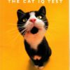 test-your-cat-the-cat-iq-test