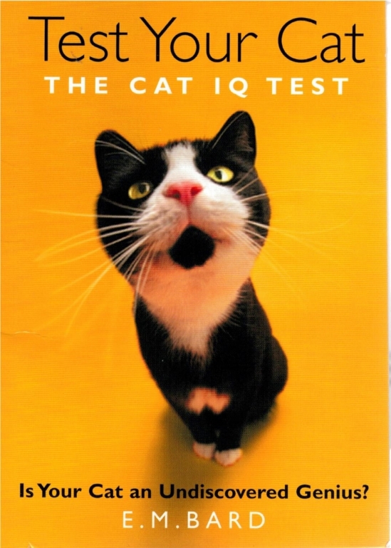 test-your-cat-the-cat-iq-test