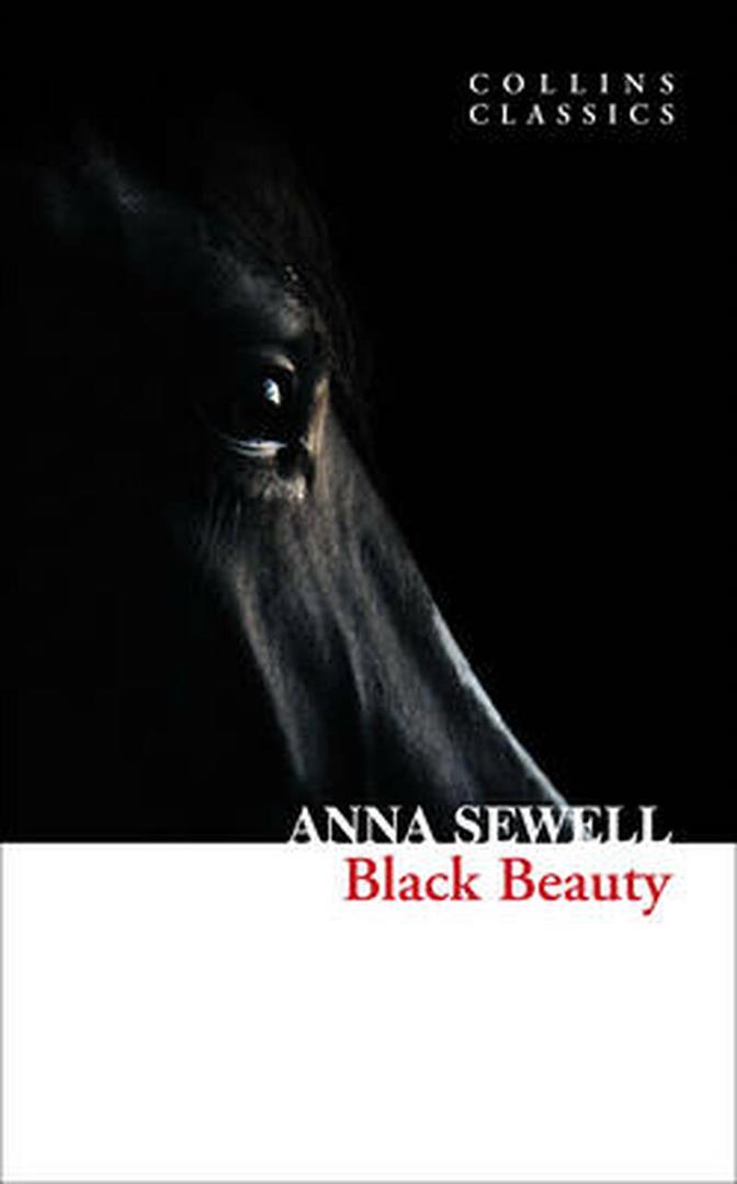 black-beauty-3