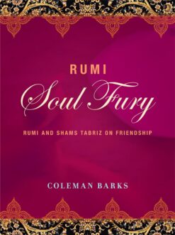 rumi-soul-fury