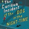 The Curious Incident of the Dog in the Night-time (Vintage C