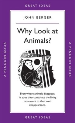 great-ideas-80-why-look-at-animals