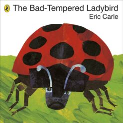bad-tempered-ladybird