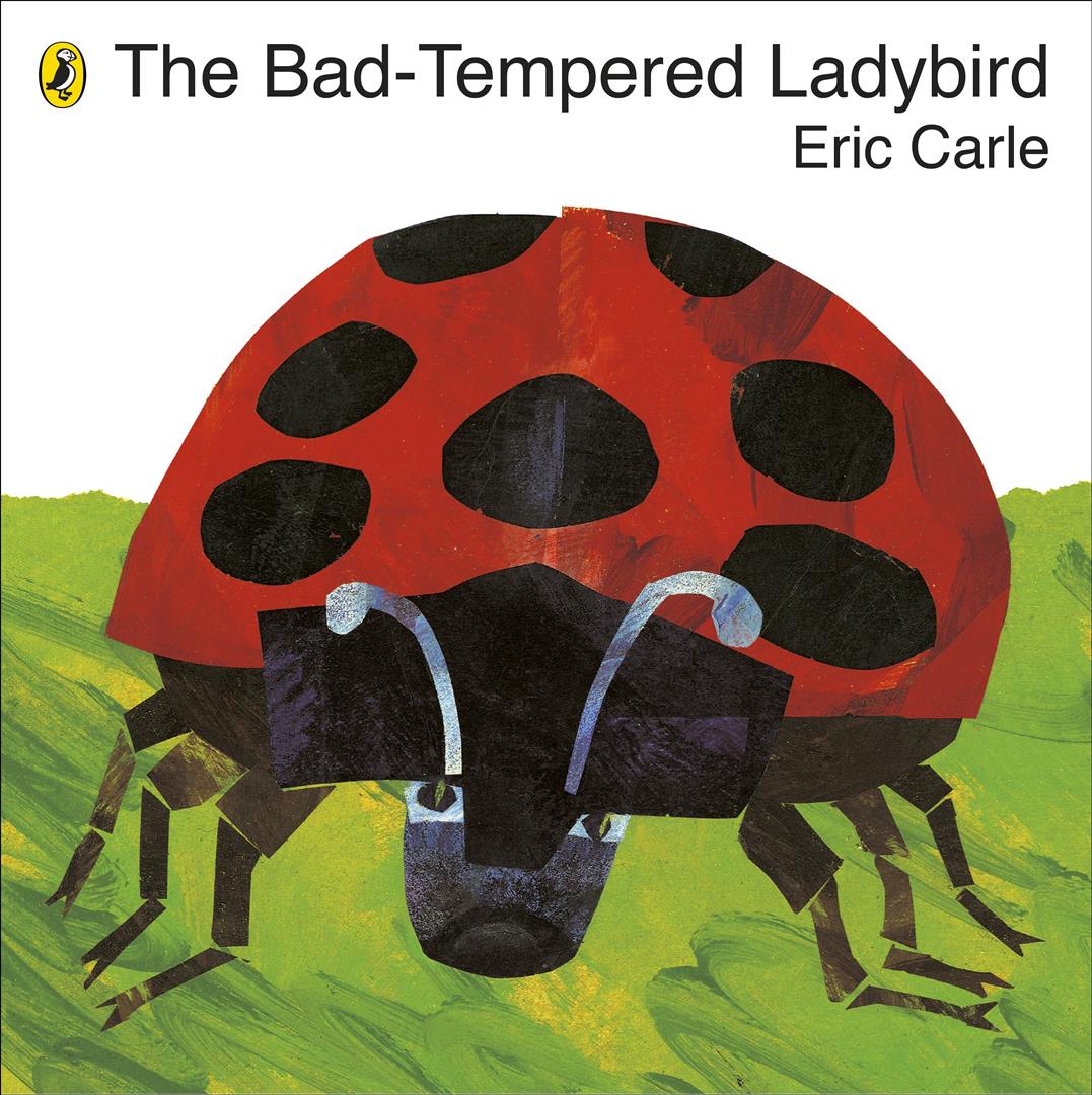 bad-tempered-ladybird
