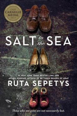 salt-to-the-sea-2