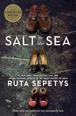salt-to-the-sea-2