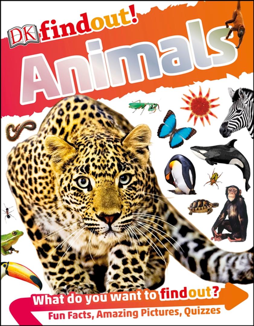 animals-poster