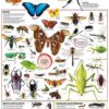 bugs-poster