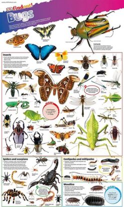 bugs-poster