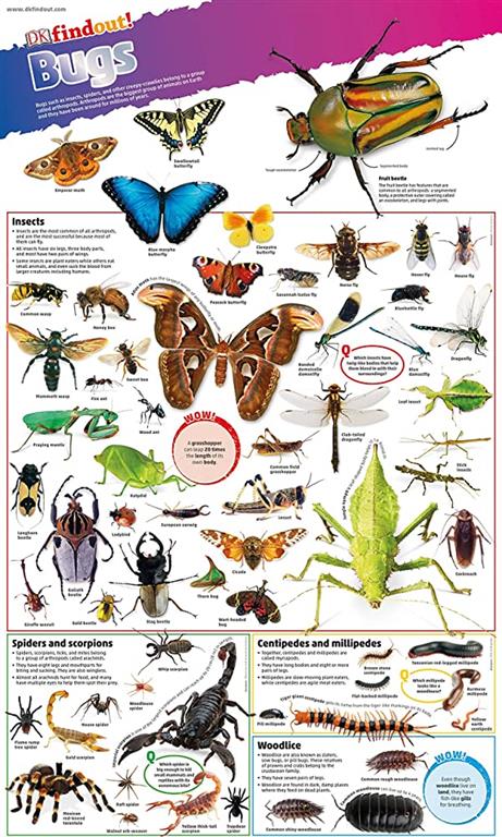 bugs-poster