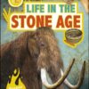 life-in-the-stone-age