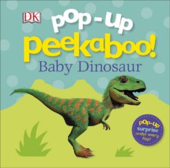 pop-up-peekaboo-2