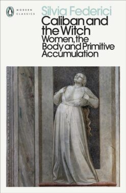caliban-and-the-witch-women-the-body-and-primitive-accumul