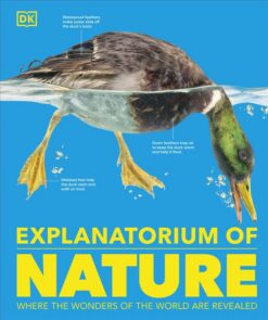 explanatorium-of-nature-where-the-wonders-of-the-world-are