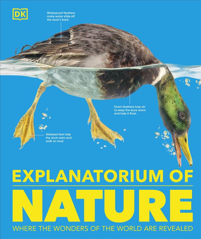 explanatorium-of-nature-where-the-wonders-of-the-world-are