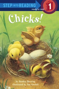 Chicks | ISBN 9780307932211 | Kalimat Store