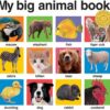 My Big Animal Book | ISBN 9780312511074 | Kalimat Store