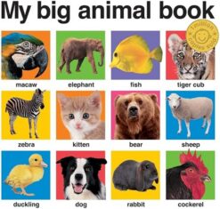 My Big Animal Book | ISBN 9780312511074 | Kalimat Store