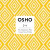 joy-the-happiness-that-comes-from-within