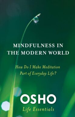 mindfulness-in-the-modern-world-how-do-i-make-meditation-part-of-everyday-life-osho-life-essentials